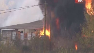 VIDEO: Fire breaks out in Turkey’s Denizli chemical factory