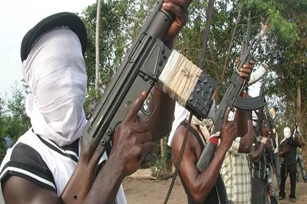نیروهای نیجریه ده ها مرد مسلح را در ایالت شمالی کشتند
