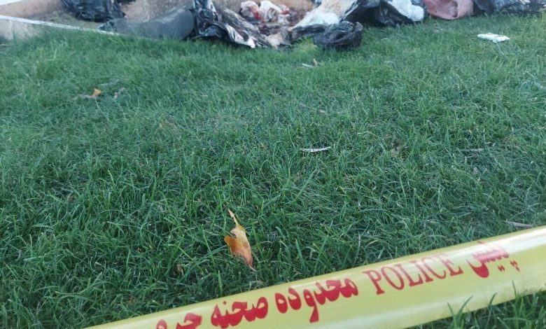 تصاویر دلخراش کشف جسد تکه تکه شده زن جوان داخل چند پلاستیک زباله در میدان آزادی تهران