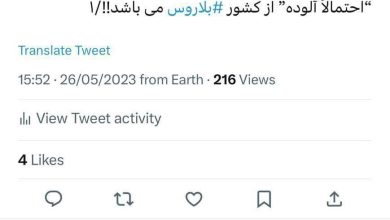 اظهارات وحشتناک نماینده مجلس درباره واردات مرغ آلوده به رادیواکتیو از خارج از کشور!/ عکس
