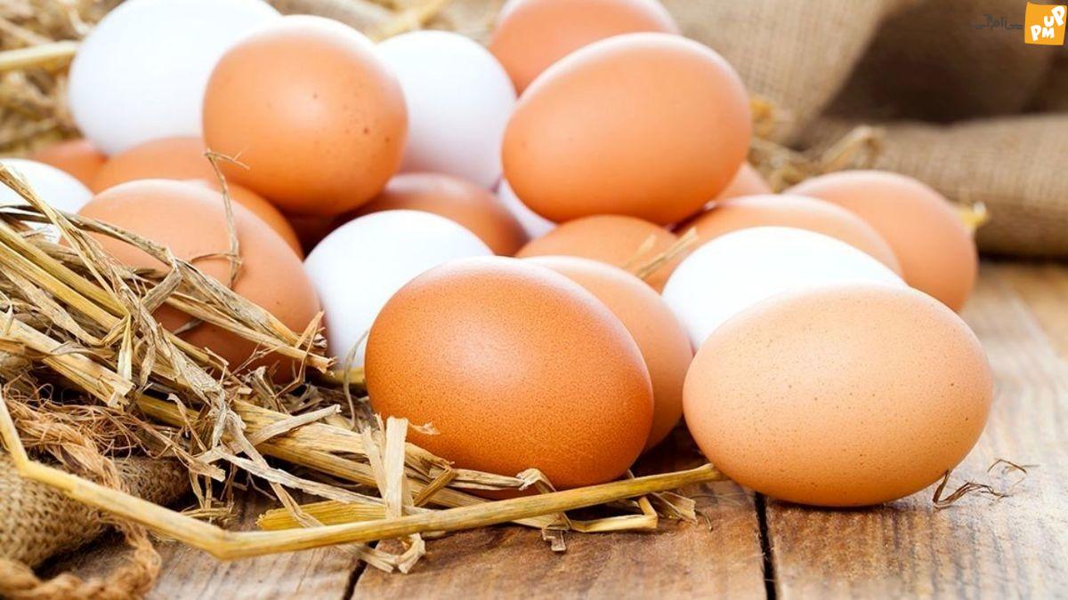 خبر مهم یارانه تخم مرغ/ منظور از این خبر چیست؟