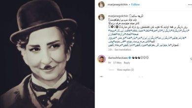 عکس/ چهره جالب مرجانه گلچین در ژست و لباس چارلی چاپلین