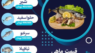 ماهی کیلویی 990 هزار تومان!/ این قیمت ها واقعی است ببینید