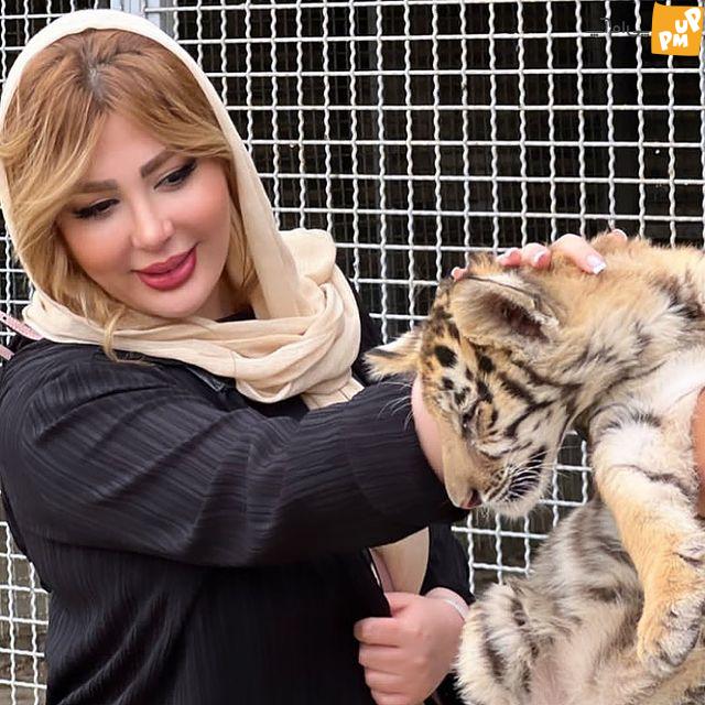 وقتی "نیوشا ضیغمی" دخترش را با حیوانات سرگرم می کند!/ عکس 1 نیوشا دیغمی در باغ وحش صفادشت