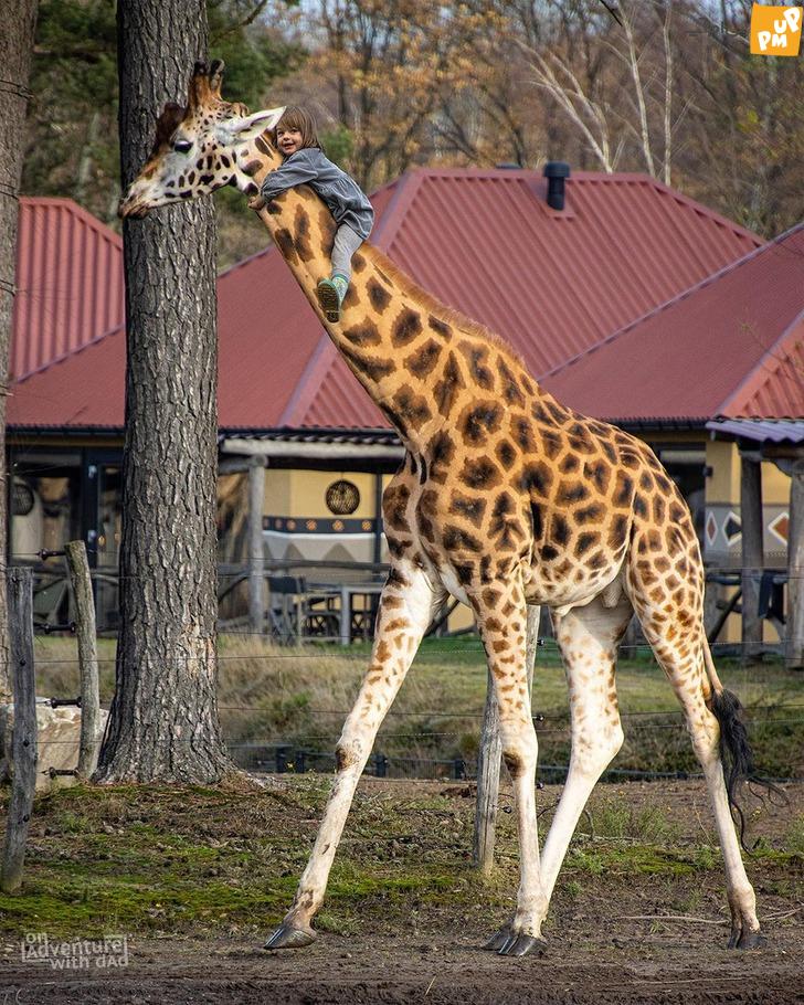 پدر خلاق بلژیکی که با عکس هایش به شهرت رسید پدر خلاق بلژیکی که با عکس هایش به شهرت رسید
