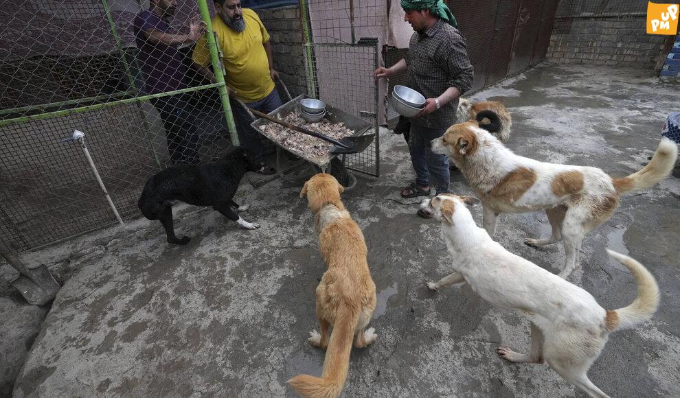 این روحانی در ایران محبوب شد! + تصاویر 3 این روحانی در ایران محبوب شد! + تصاویر