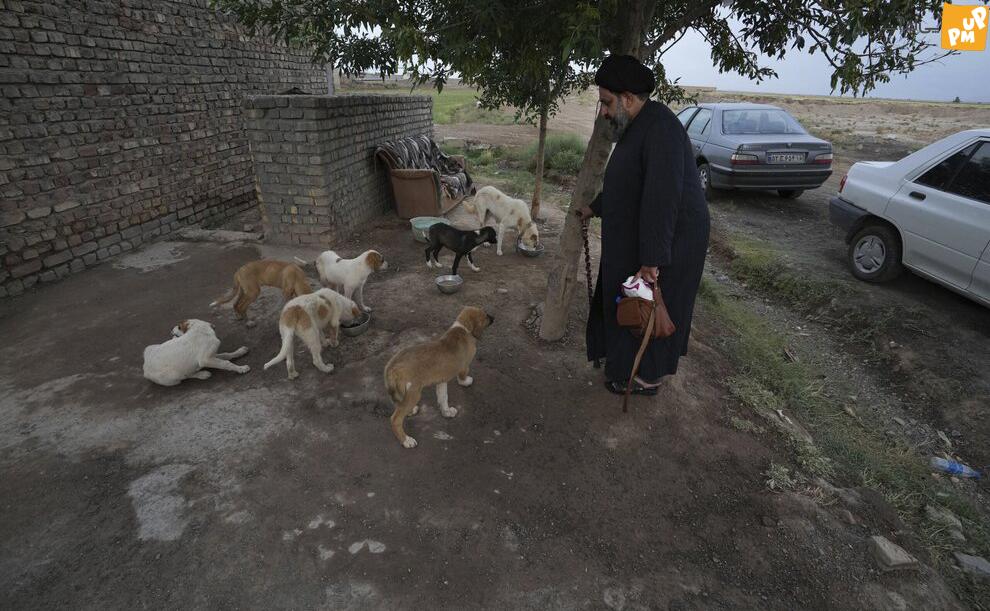 این روحانی در ایران محبوب شد! + تصاویر 7 این روحانی در ایران محبوب شد! + تصاویر