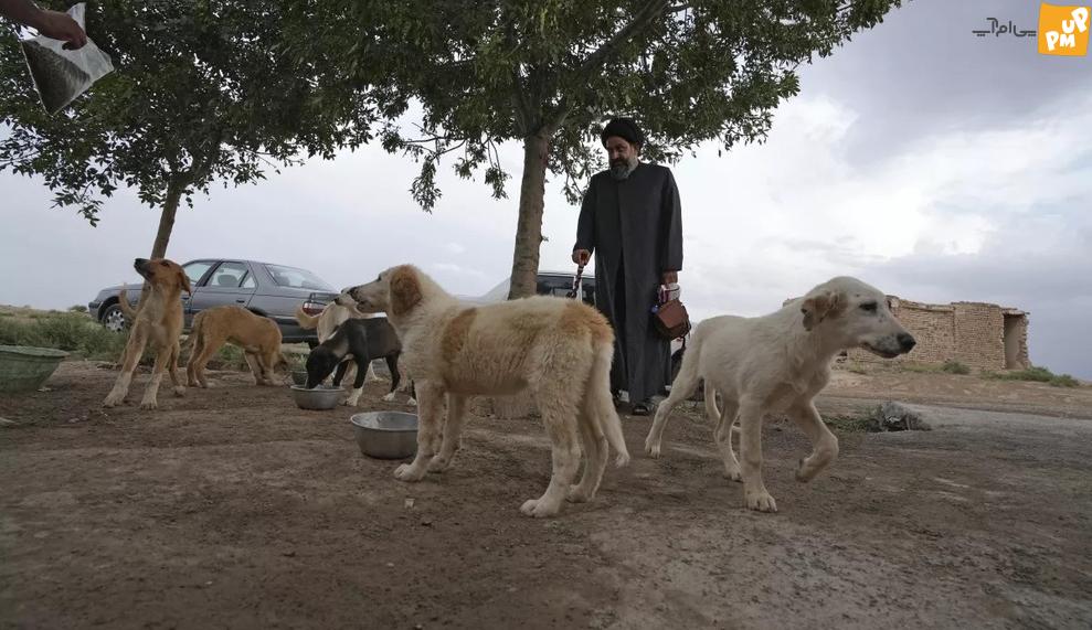 این روحانی در ایران محبوب شد! + تصاویر 8 این روحانی در ایران محبوب شد! + تصاویر