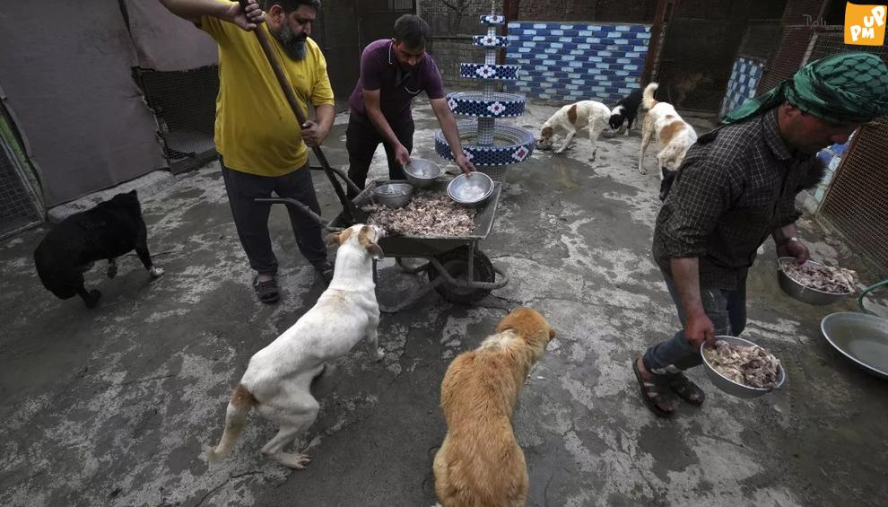 این روحانی در ایران محبوب شد! + تصاویر 9 این روحانی در ایران محبوب شد! + تصاویر