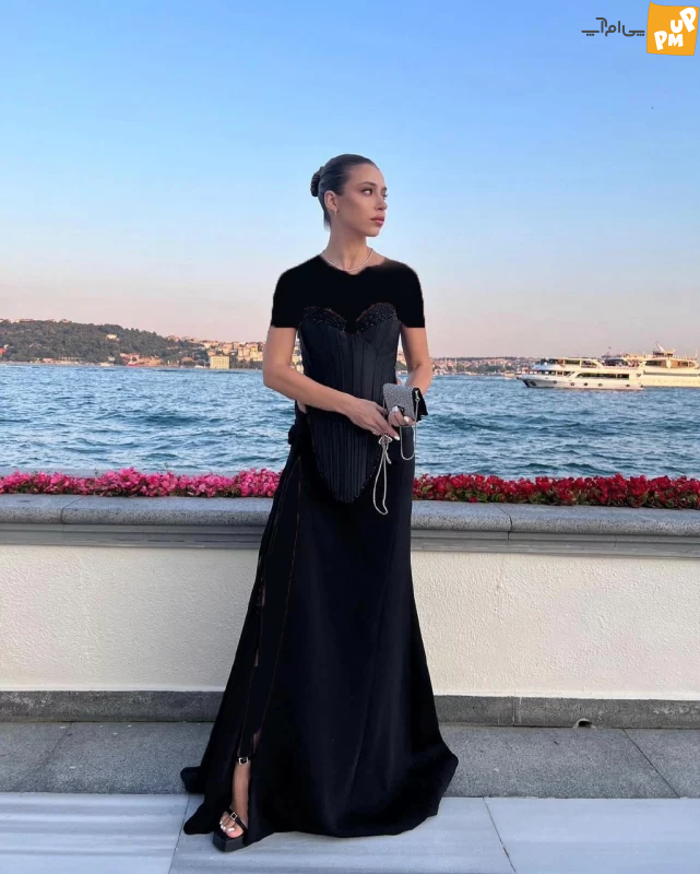 مهمانان عروسی مهمانان عروسی