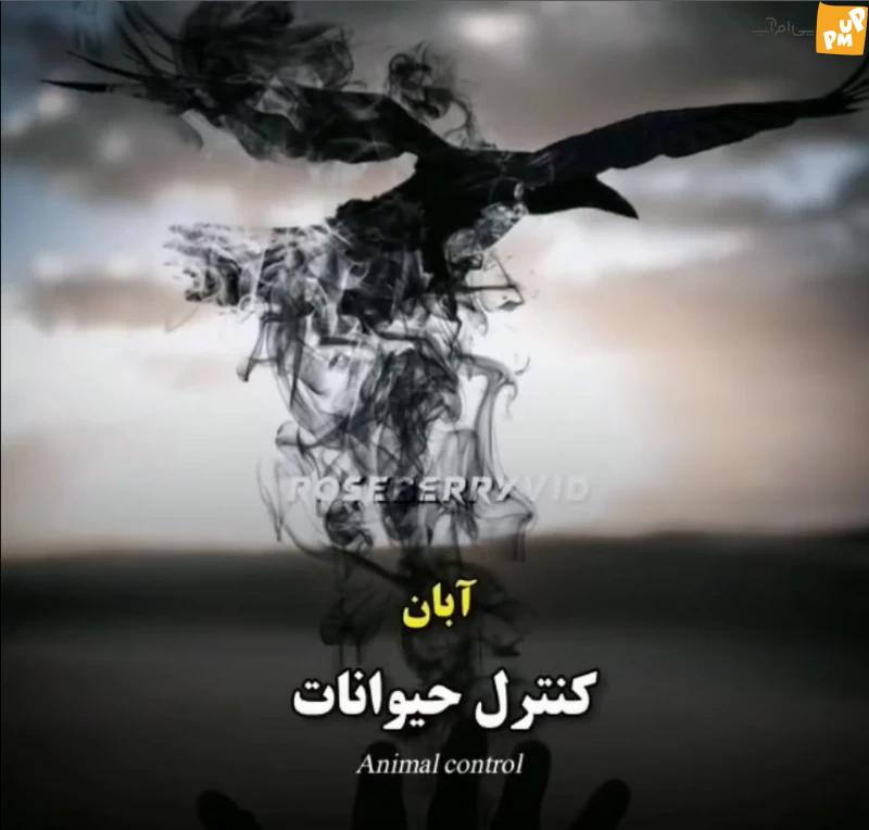 قدرت فراطبیعی کسانی که هر ماه به دنیا می آیند چیست؟ 7 قدرت فراطبیعی کسانی که هر ماه به دنیا می آیند چیست؟