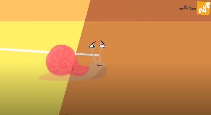 لیست کندترین و سریع ترین حیوانات روی زمین شما را شگفت زده خواهد کرد + عکس 1 لیست کندترین و سریع ترین حیوانات روی زمین شما را شگفت زده خواهد کرد + عکس