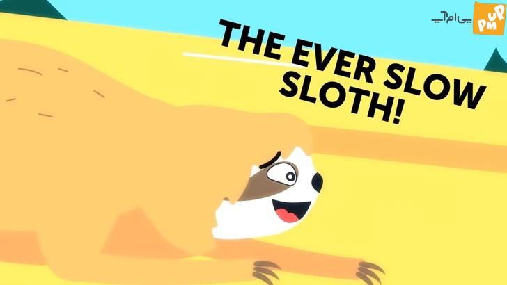 لیست کندترین و سریع ترین حیوانات روی زمین شما را شگفت زده خواهد کرد + عکس 2 لیست کندترین و سریع ترین حیوانات روی زمین شما را شگفت زده خواهد کرد + عکس