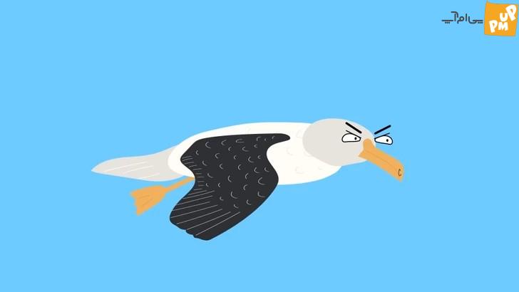 لیست کندترین و سریع ترین حیوانات روی زمین شما را شگفت زده خواهد کرد + عکس 6 لیست کندترین و سریع ترین حیوانات روی زمین شما را شگفت زده خواهد کرد + عکس