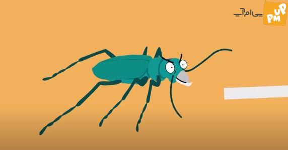 لیست کندترین و سریع ترین حیوانات روی زمین شما را شگفت زده خواهد کرد + عکس 10 لیست کندترین و سریع ترین حیوانات روی زمین شما را شگفت زده خواهد کرد + عکس