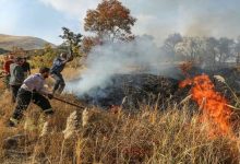 آتش سوزی در پارک ملی تندوره خراسان رضوی 50 هکتار از اراضی آن را سوزاند!