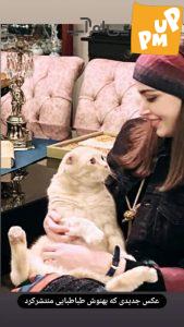 نگاه عاشقانه "بهنوش طباطبایی" به گربه‌اش!/ عکسی که بسیار مورد توجه کاربران فضای مجازی قرار گرفت!