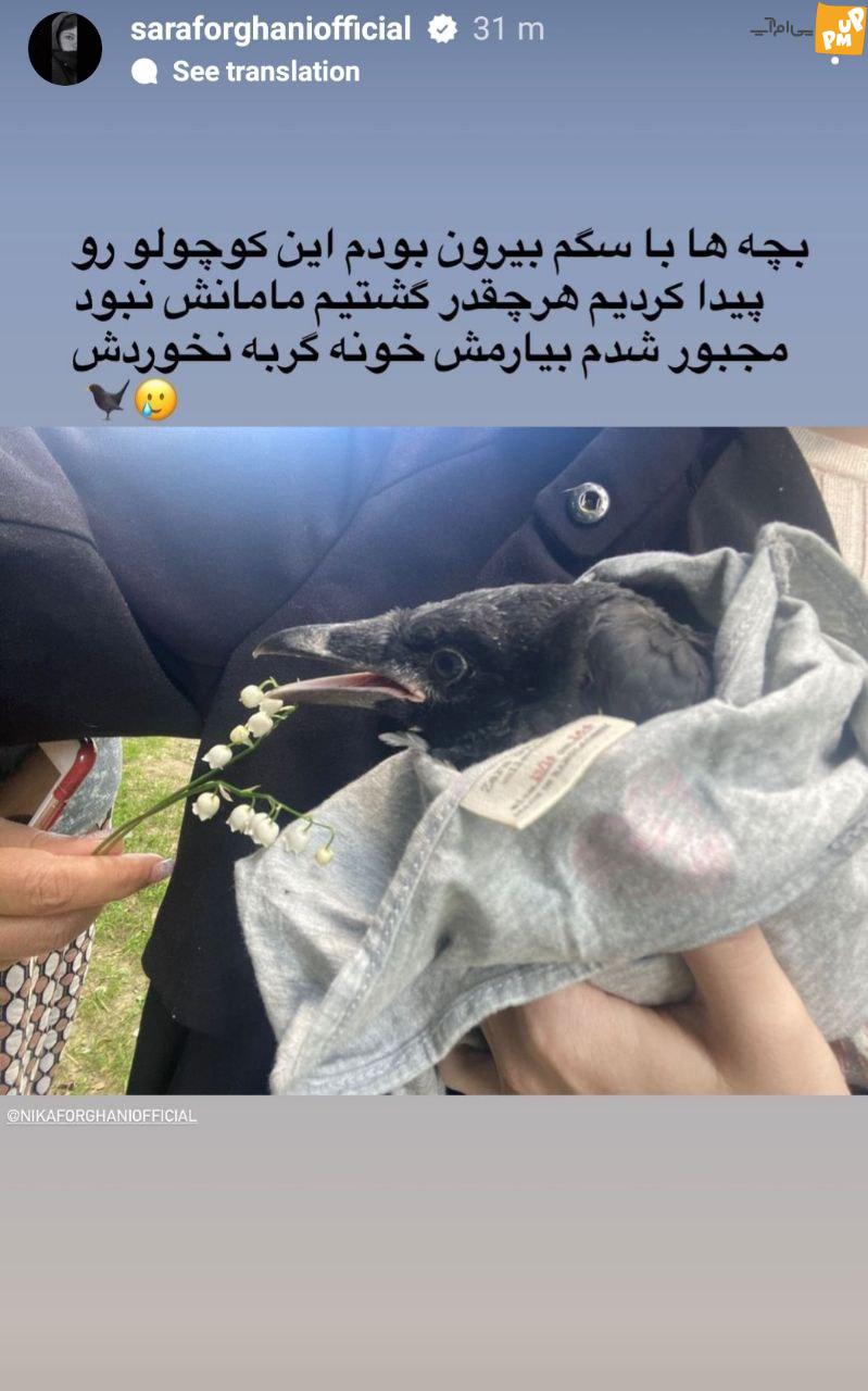 جنجال دوباره سارا و نیکا در فضای مجازی! / رونمایی سارا از حیوان خانگی جدیدش! + عکس 1 جنجال سارا و نیکا