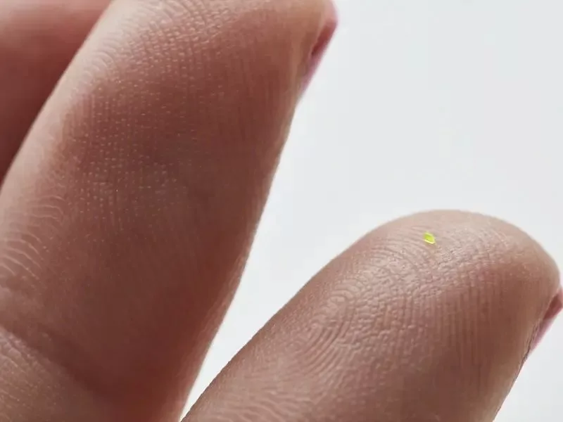 کیف میکروسکوپی «لوئیس ویتون» کوچکتر از یک دانه نمک با قیمتی عجیب! + عکس 2 کیف میکروسکوپی «لوئیس ویتون» کوچکتر از یک دانه نمک با قیمتی عجیب! + عکس