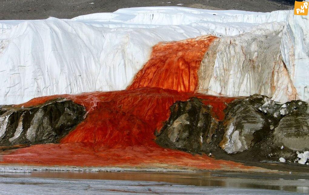 رمز و راز آبشار خون، معجزه بزرگ جریان در قطب جنوب / عکس