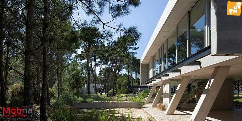 بورتالیست جذاب در آرژانتین! (+ عکس) 3 بورتالیست جذاب در آرژانتین! (+عکس)