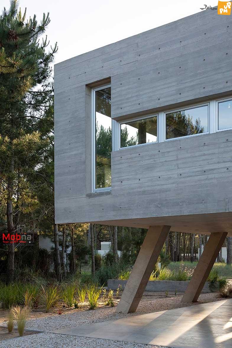 بورتالیست جذاب در آرژانتین! (+عکس) 5 بورتالیست جذاب در آرژانتین! (+عکس)