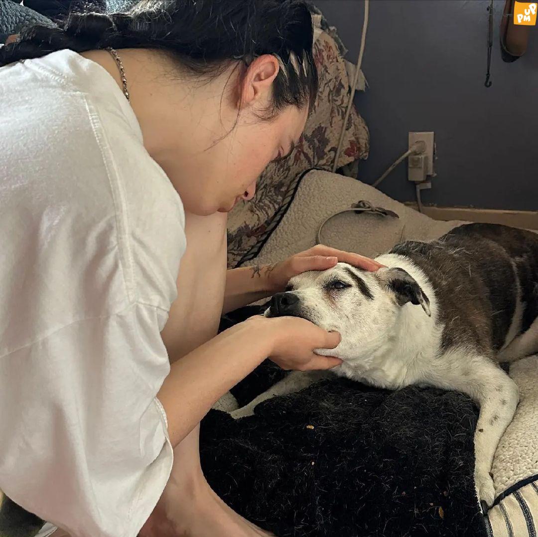 "بیلی آیلیش" 21 ساله در غم از دست دادن سگ 15 سالهاش!/ تصاویر 1 "بیلی آیلیش" 21 ساله در غم از دست دادن سگ 15 سالهاش!/ تصاویر