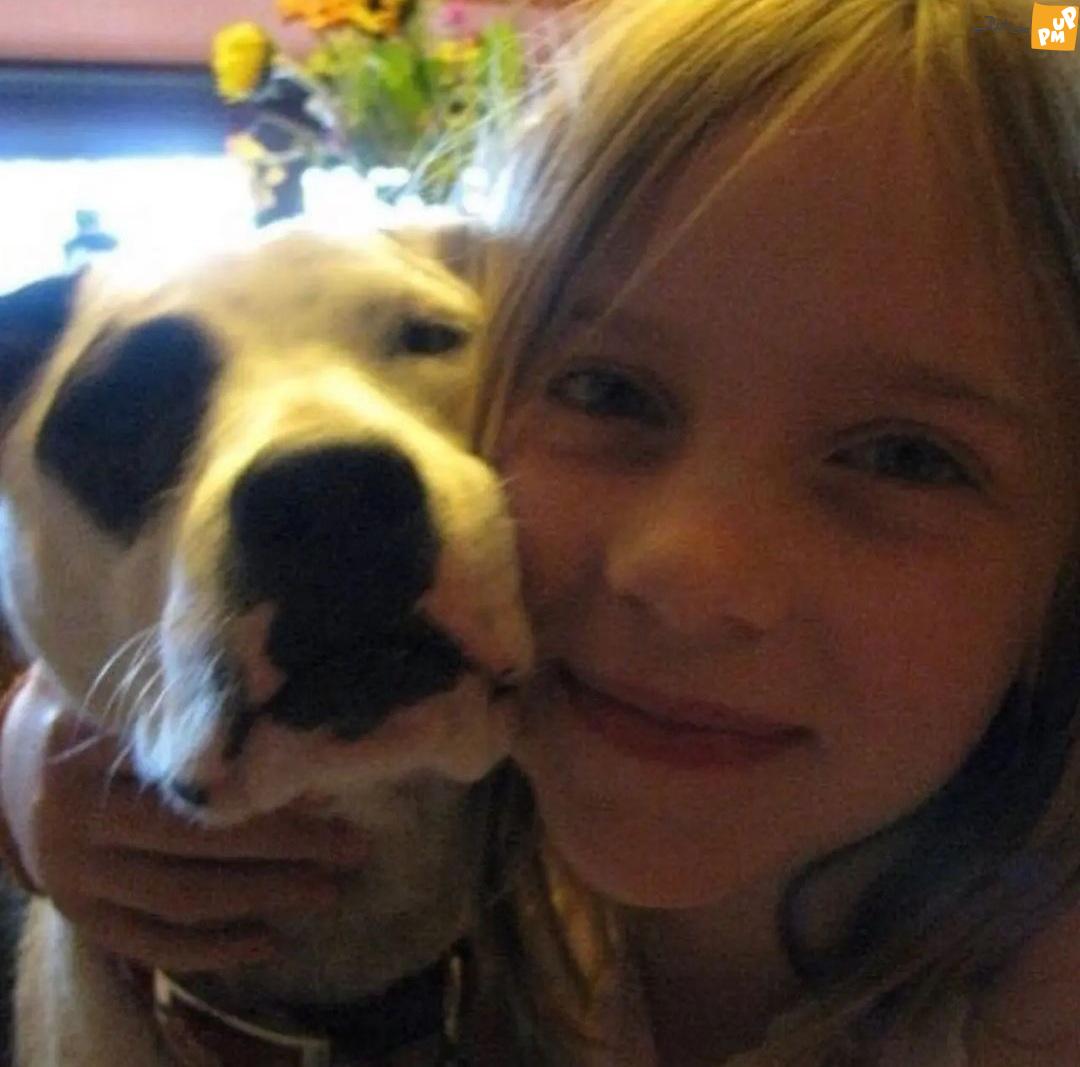 "بیلی آیلیش" 21 ساله در غم از دست دادن سگ 15 سالهاش!/ تصاویر 3 "بیلی آیلیش" 21 ساله در غم از دست دادن سگ 15 سالهاش!/ تصاویر