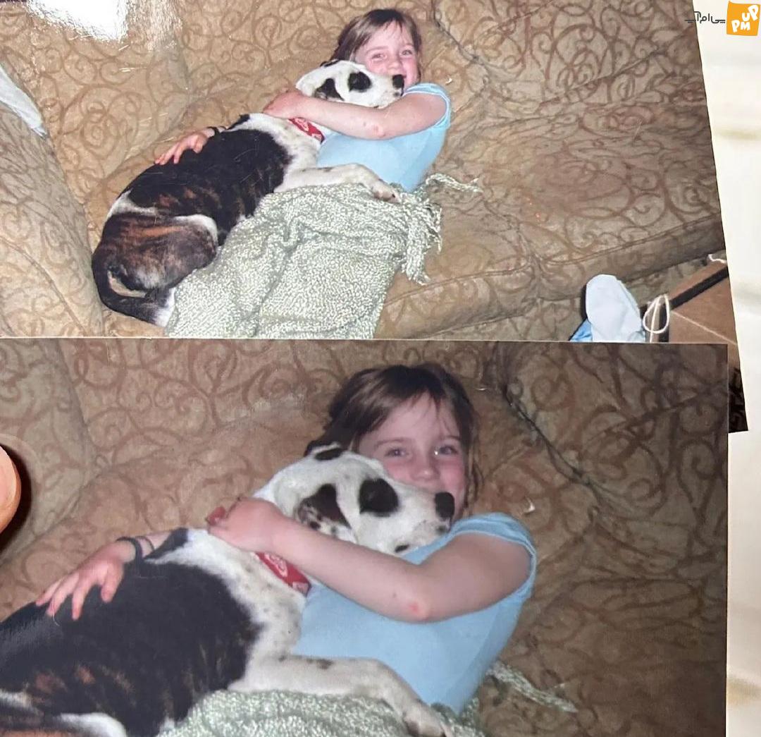 "بیلی آیلیش" 21 ساله در غم از دست دادن سگ 15 سالهاش!/ تصاویر 6 "بیلی آیلیش" 21 ساله در غم از دست دادن سگ 15 سالهاش!/ تصاویر