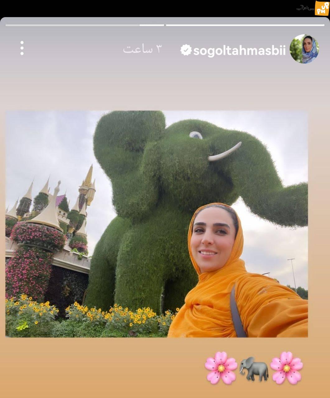 عکس طبیعت گردی سوگل طهماسبی در کنار فیل گیاهی دیدنی!/عکس 1 عکس طبیعت گردی سوگل طهماسبی در کنار فیل گیاهی دیدنی!/عکس