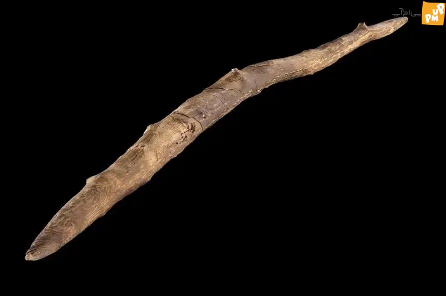 کشف یکی از قدیمی ترین سلاح های ساخت بشر/عکس