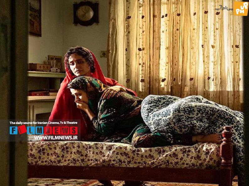 پخش نیمه دوم تابستان از چهارشنبه 18 مرداد کلید فشار داده شده است سینماها هوای تازه ای دارند 1 پخش نیمه دوم تابستان از چهارشنبه 18 مرداد کلید فشار داده شده است سینماها هوای تازه ای دارند