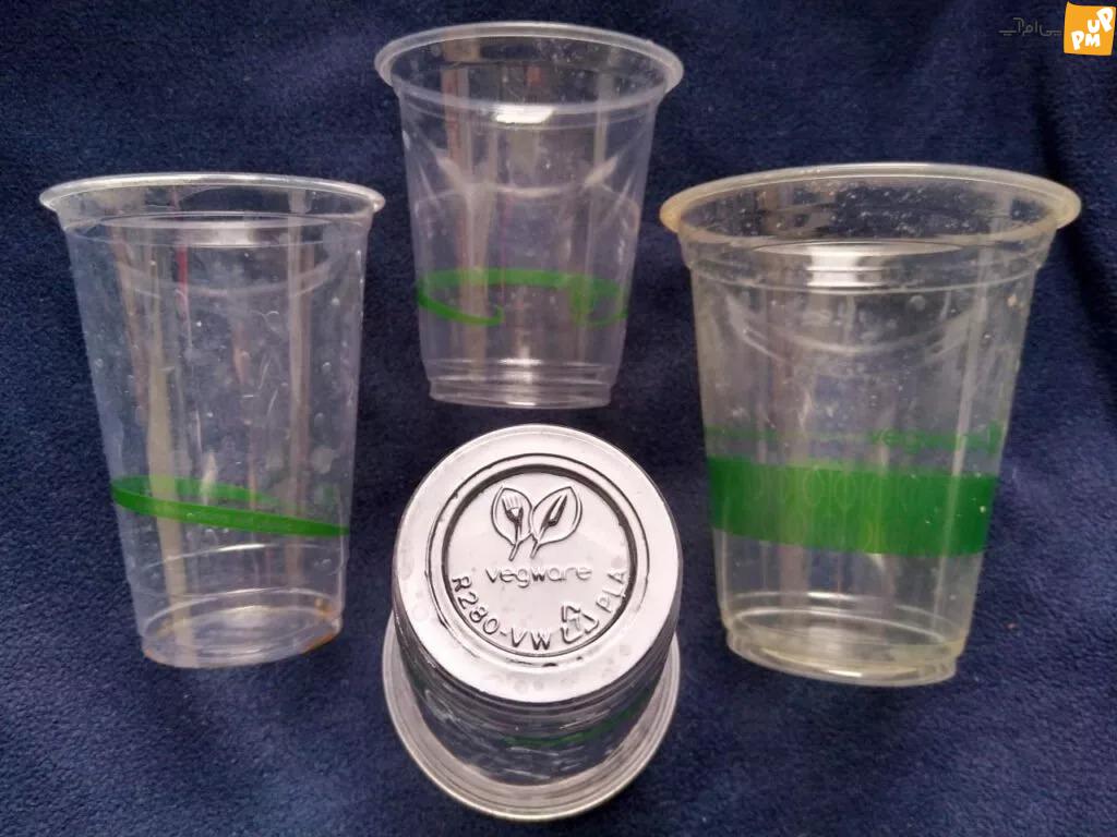 یک لیوان پلاستیکی ساخته شده از مگس مرده یک لیوان پلاستیکی ساخته شده از مگس مرده