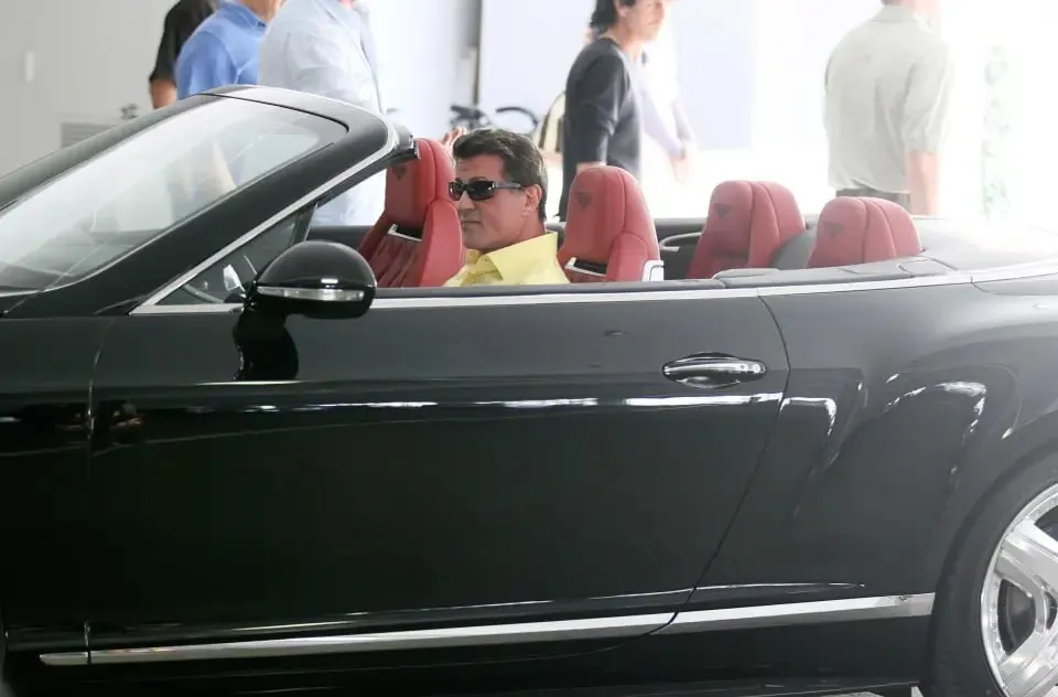 مجموعه ماشین های شگفت انگیز سیلوستر استالونه 3 مجموعه ماشین های شگفت انگیز سیلوستر استالونه