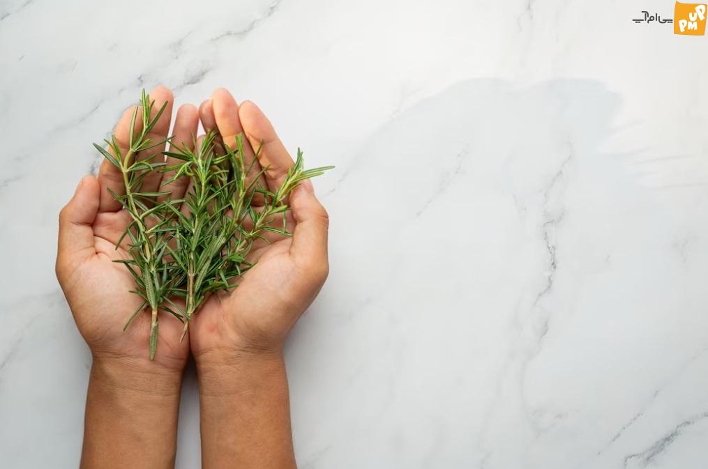 آویشن بخور و تناسب اندام کن! آویشن بخور و تناسب اندام کن!