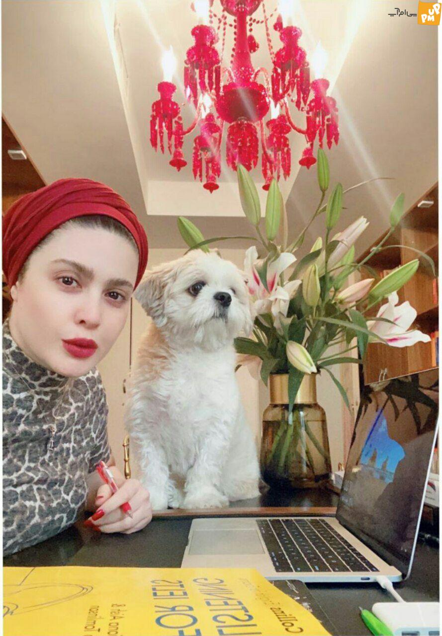 سگ زیبای نازنین کریمی کولاک به پا کرد! / با این استایل زیبا خانم بازیگر بیشتر از قبل درخشید! + عکس 1 سگ زیبای نازنین کریمی کولاک به پا کرد! / با این استایل زیبا خانم بازیگر بیشتر از قبل درخشید! + عکس