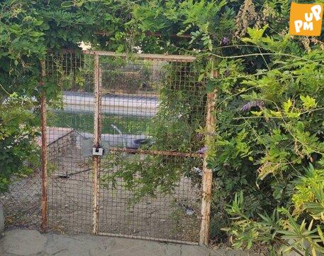 مرگ دو کودک در باغ زیتون تهران! / بی احتیاطی با وجود علائم هشدار دهنده! 1 غرق شدن دو کودک در حوضچه پارک زیتون تهران / عکس