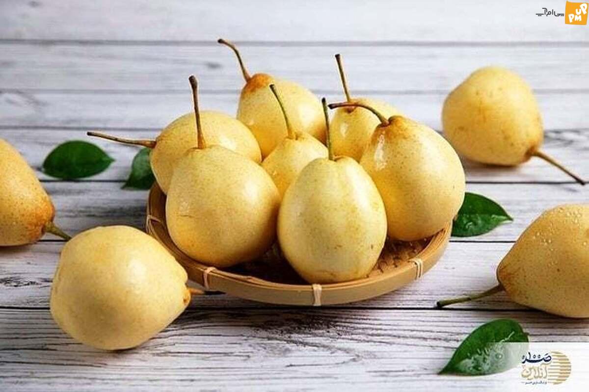 با مصرف این میوه‌ها نیاز بدنتان به قند را تامین کنید! / معرفی 7 میوه شیرین و سرشار از مواد مغذی!