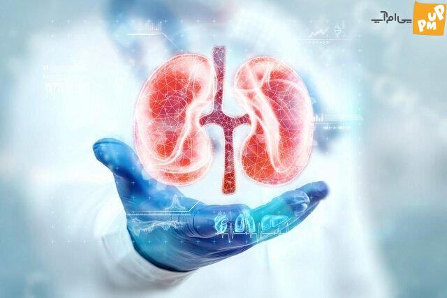 این 5 نشانه که سلامت کلیه شما در خطر است این 5 نشانه که سلامت کلیه شما در خطر است