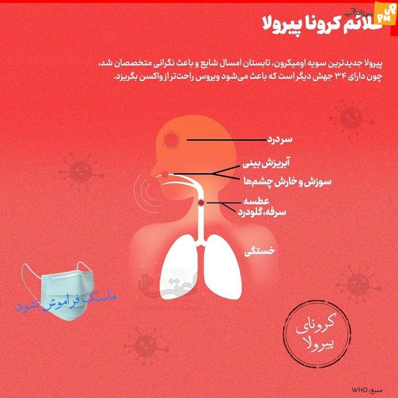 نشانه ها و علائم کرونا پیرولا چه چیزی است؟ /عکس