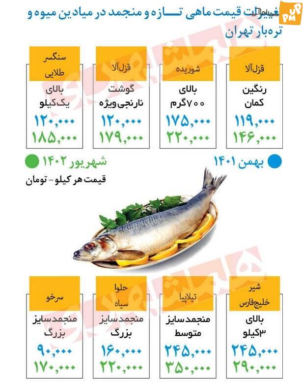 قیمت ماهی هم افزایش یافت! /جدول