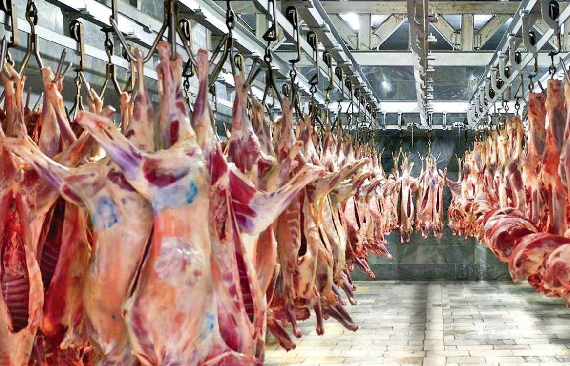 گوشت قرمز ایرانی در عمان/ ایران به دنبال گوشت کنیا و پاکستانی است! گوشت قرمز ایرانی در عمان/ ایران به دنبال گوشت کنیا و پاکستانی است!