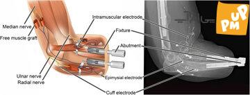 scirobotics.adf7360-f1-1024x391.jpg