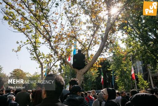 عکسی در فضای مجازی منتشر شد که مردی را در حال تماشای مراسم از روی درخت در مراسم تشییع داریوش مهرجویی نشان می دهد.