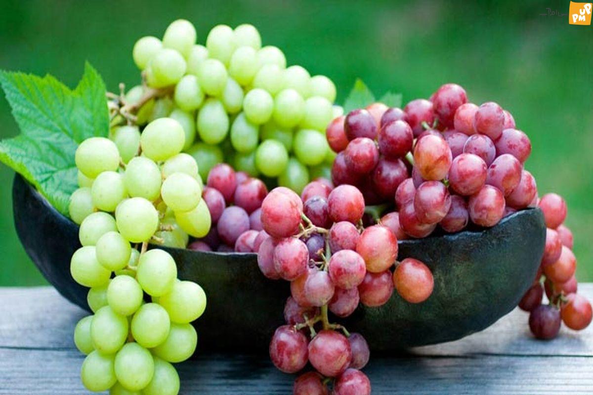 انگور؛ میوه ای که سالمندان باید بیشتر مصرف کنند