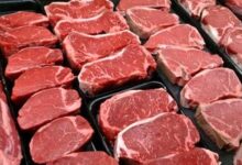 قیمت جدید گوشت قرمز اعلام شد/ قیمت بره کیلویی چند است؟
