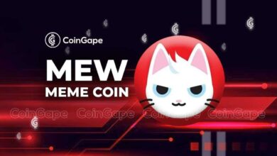 میم Coin Meow در یک روز 100% رشد کرد